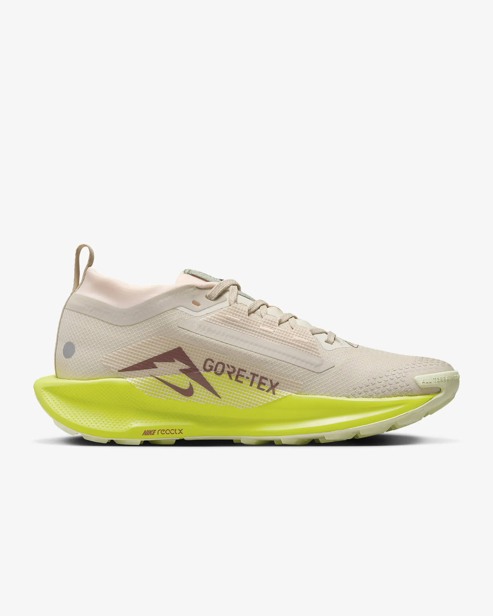 NIKE PEGASUS TRAIL 5 GORETEX